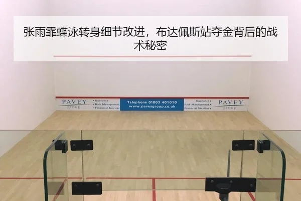 张雨霏蝶泳转身细节改进，布达佩斯站夺金背后的战术秘密